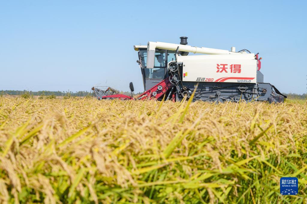 摆脱冰球游戏技巧